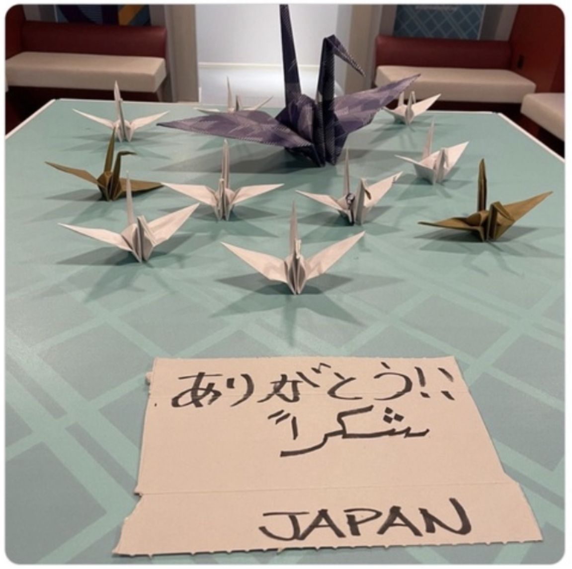 12 ふじようちえん